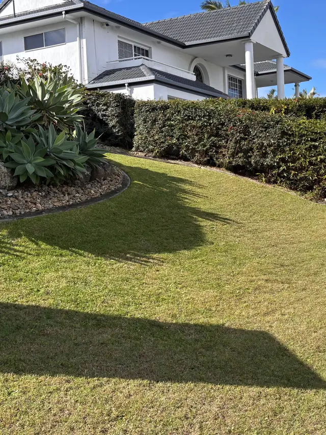Freshly mown front lawn and level-trimmed hedge at a Logan home