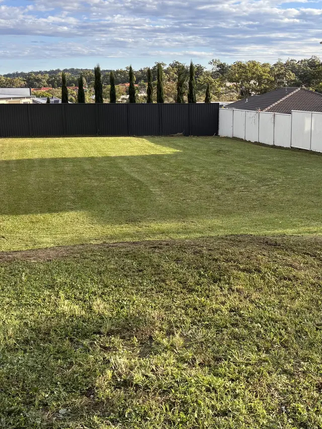 Big sloping back yard cut fence to fence near Springwood